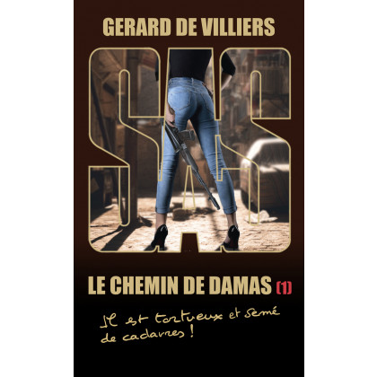 193 – LE CHEMIN DE DAMAS 1 – Nouvelle couverture